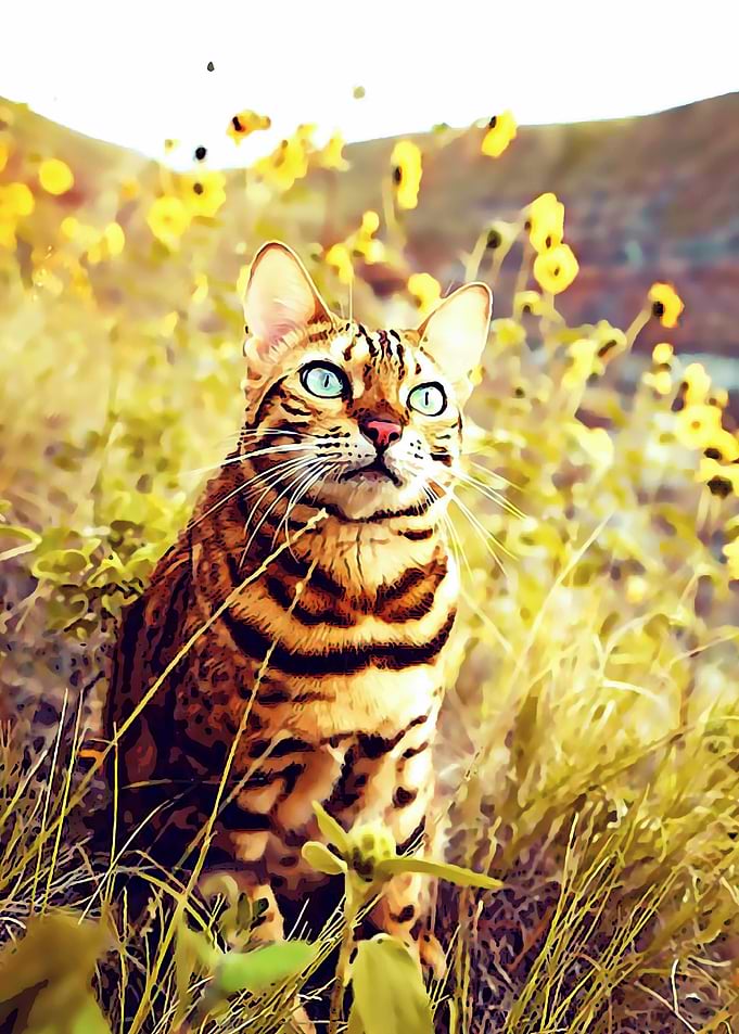 Animal 113