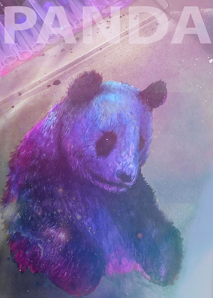 PANDA