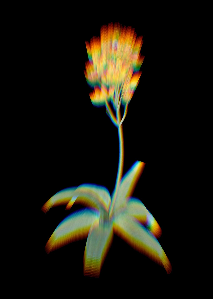 Prism Sun Star