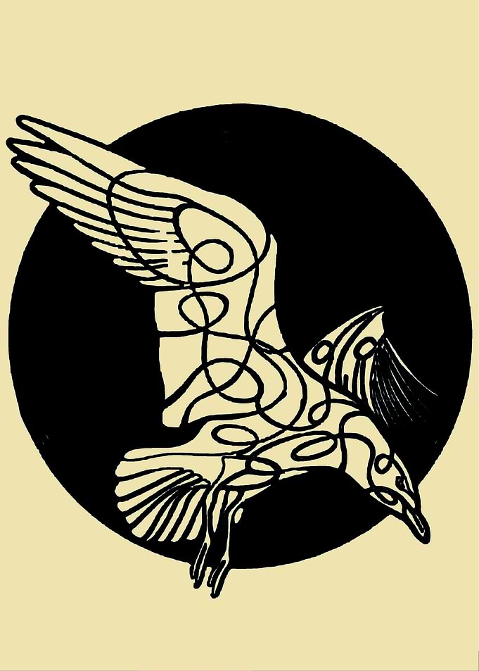 Not only feathers