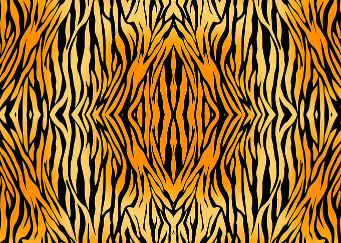 Tiger Stripes Pattern