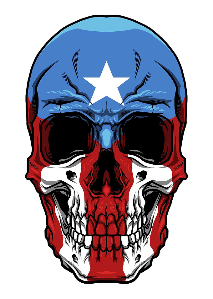 Boricua Skull