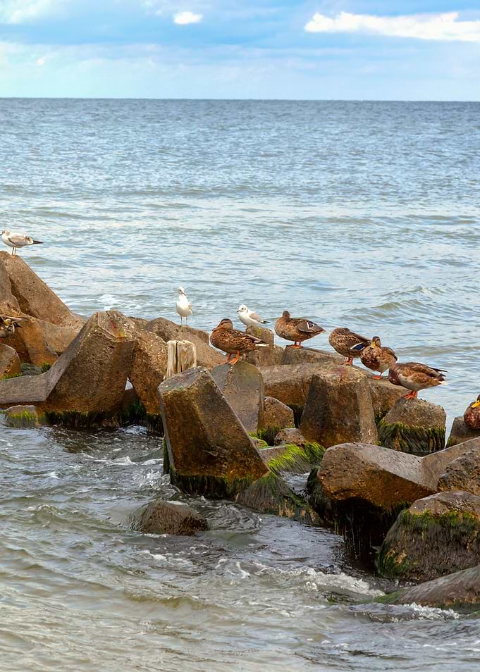 Baltic NorthSea Island