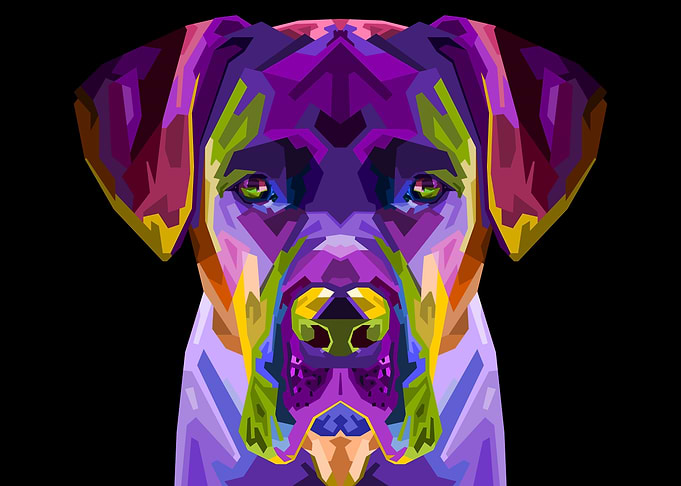 colorful cane corso dog