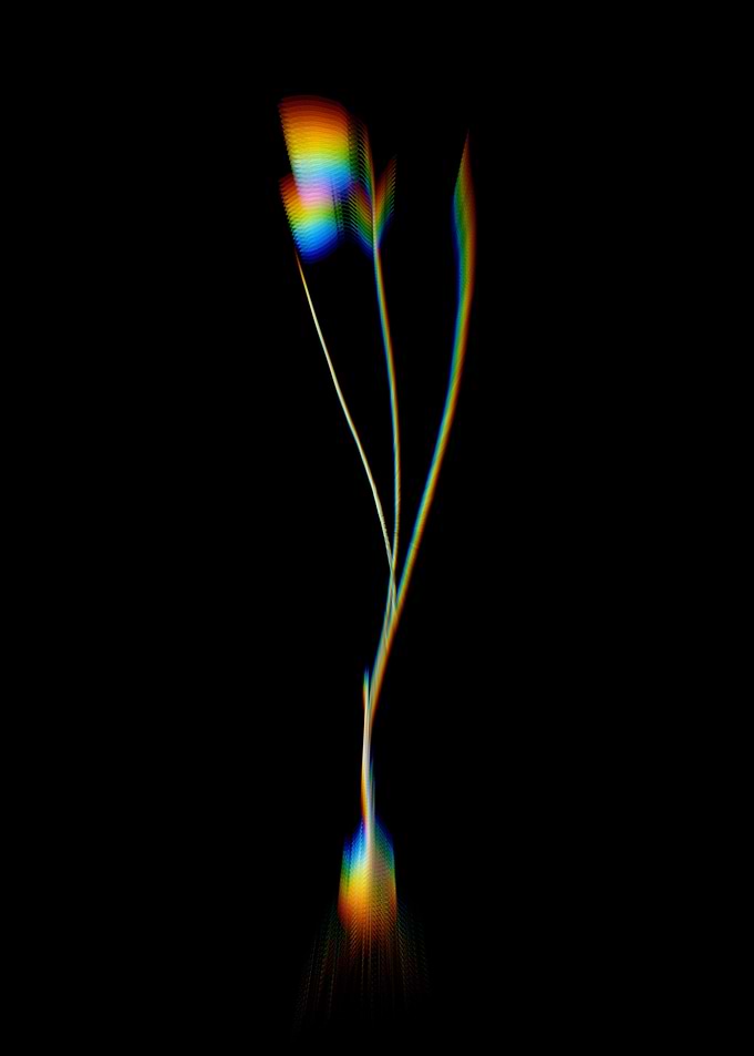 Prism Snowbell