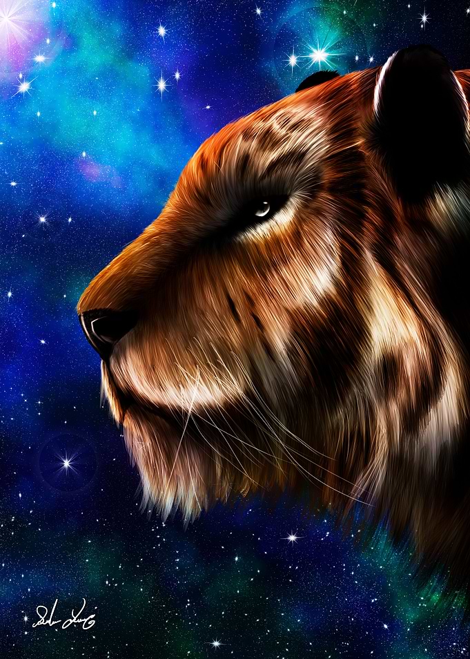 Night Hunter