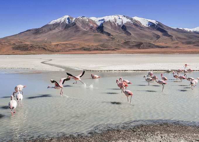 Bolivia Lagoons Landscape