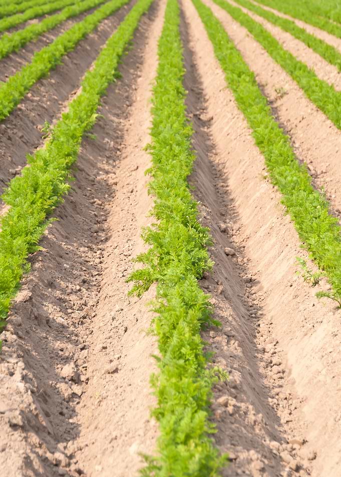 Acre Agrar Agricultural Ag
