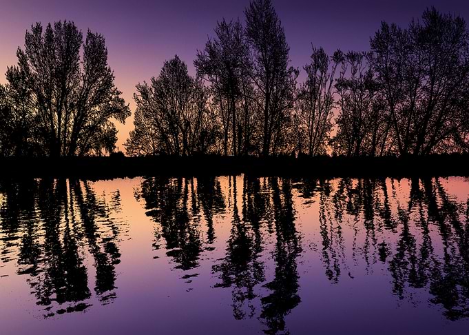 Sunset Silhouette