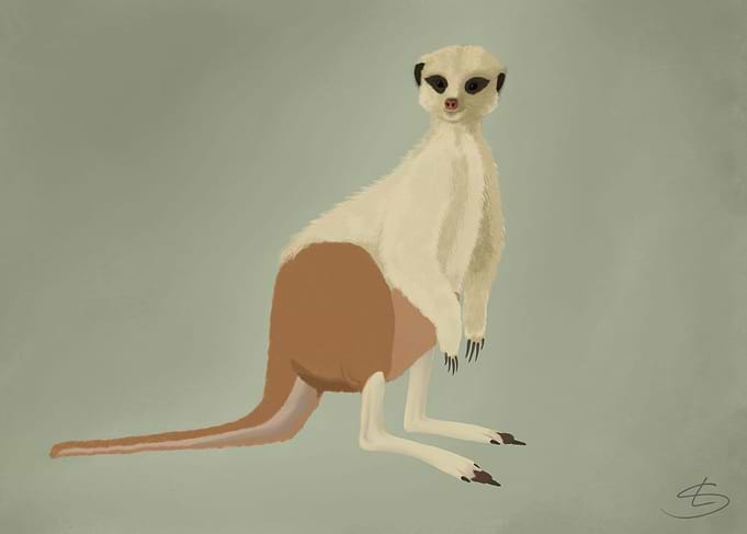 Meergaroo
