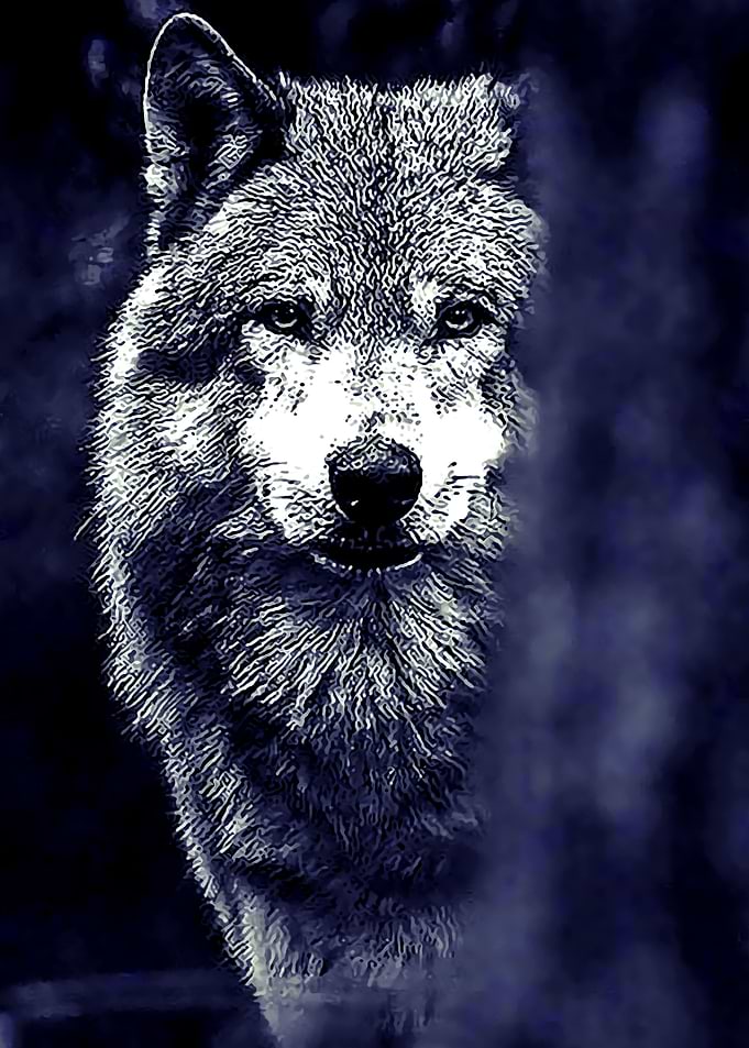 Animal 131