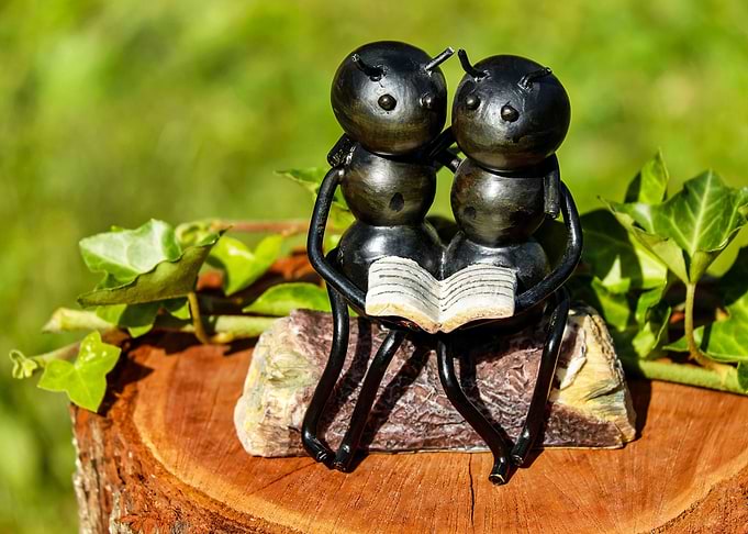 Insect Iron Artwork