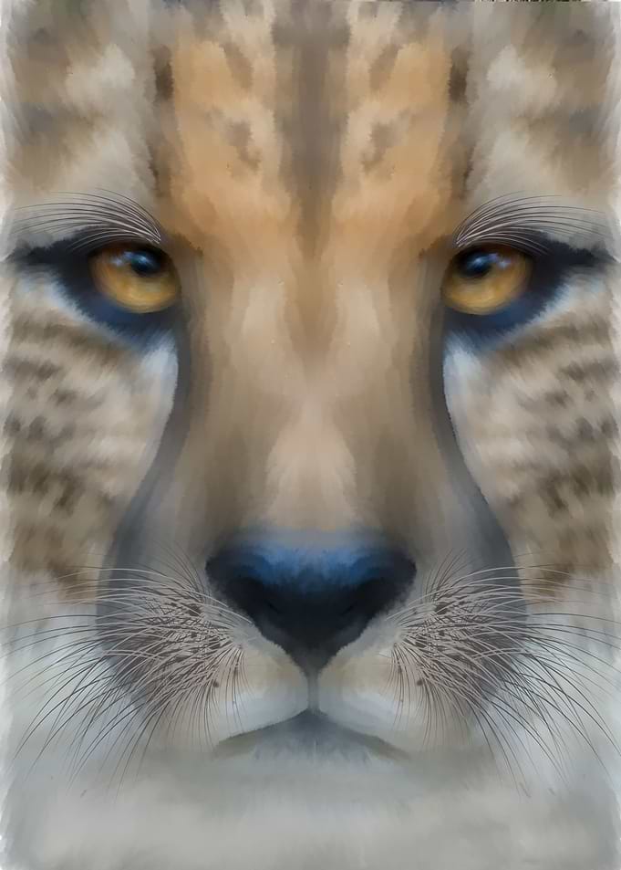 Cheetah