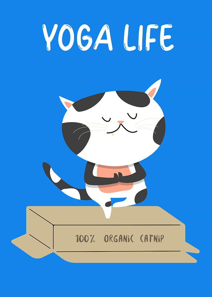 Yoga Life Cat