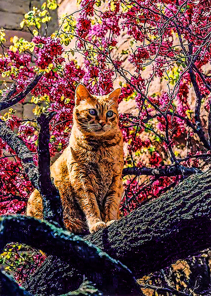 Animal 147