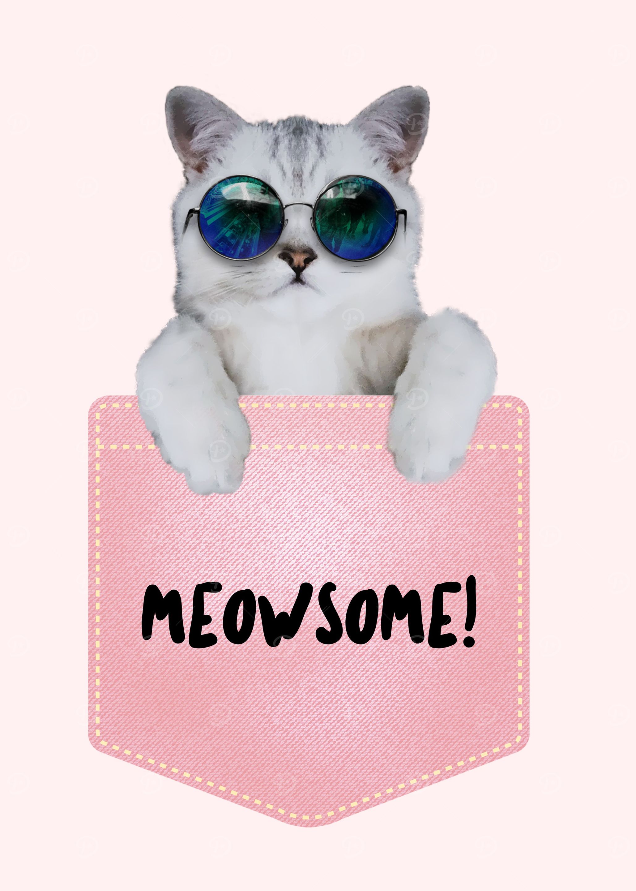 Meowsome Cat in a Pocket