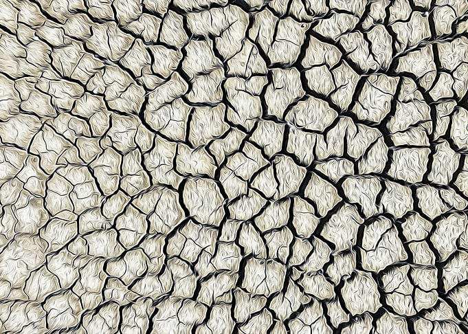 Parched land of a marsh