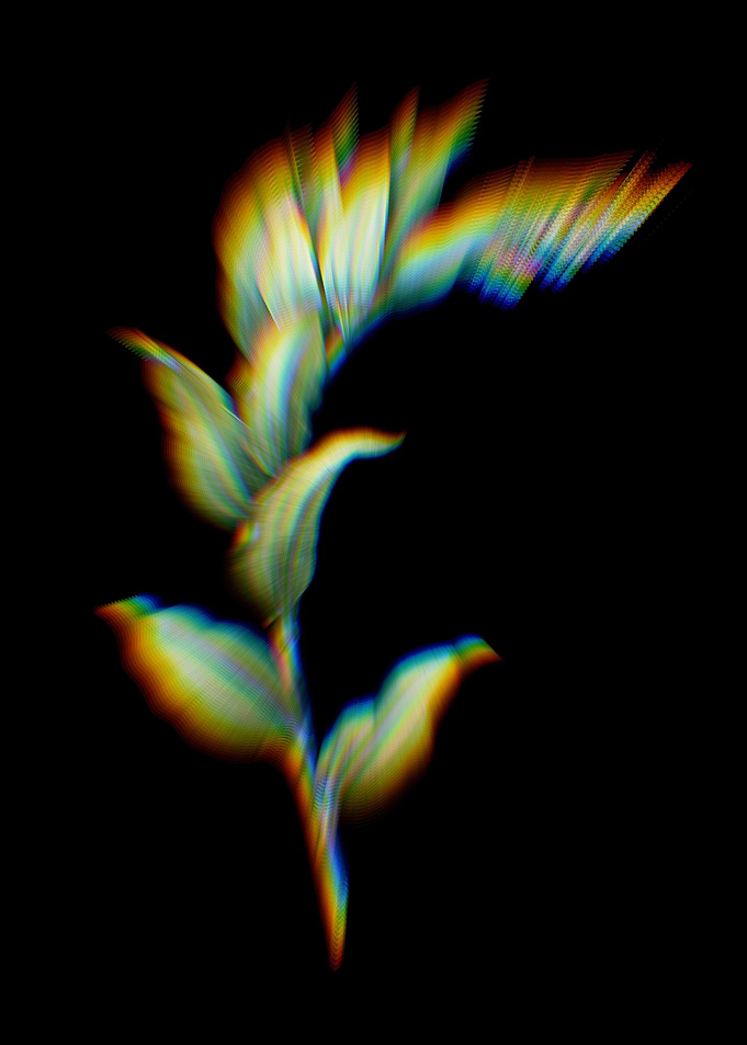 Prism Treacleberry