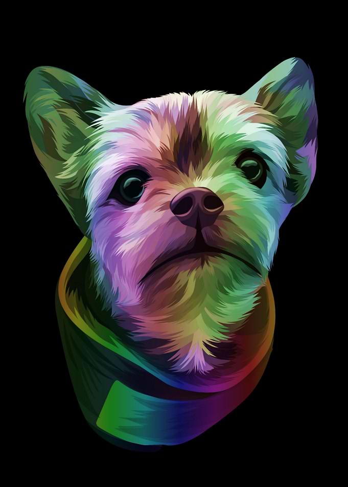 The Rainbow Vector Pet
