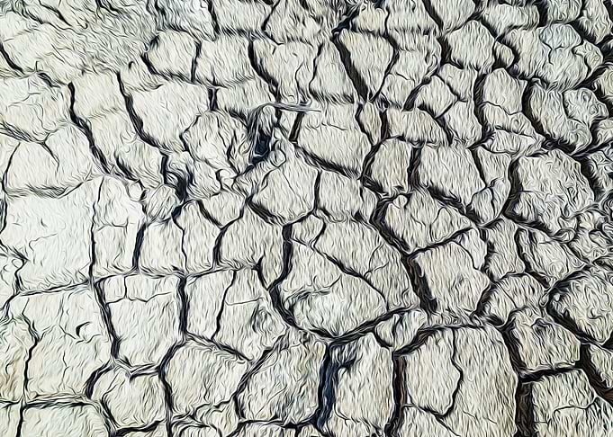 Parched land of a marsh