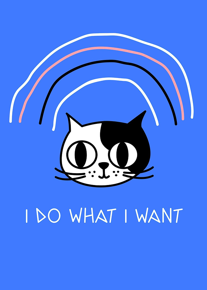 Funny Cat I Do what I want