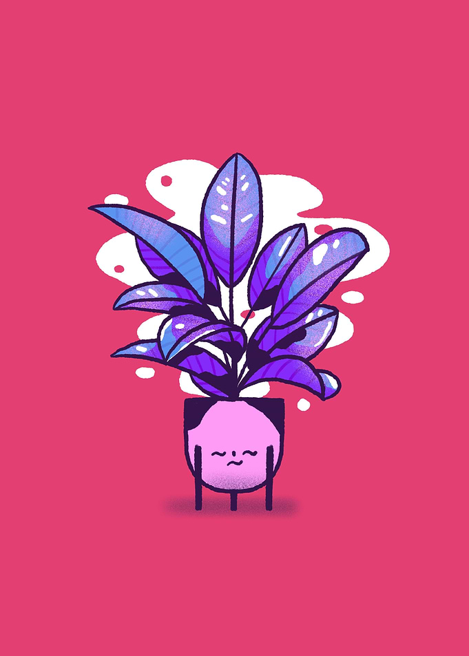 Rubber plant