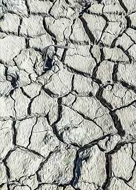 Parched land of a marsh