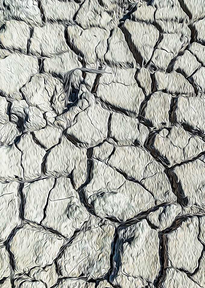 Parched land of a marsh