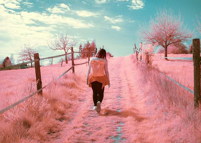 Cotton Candy Land