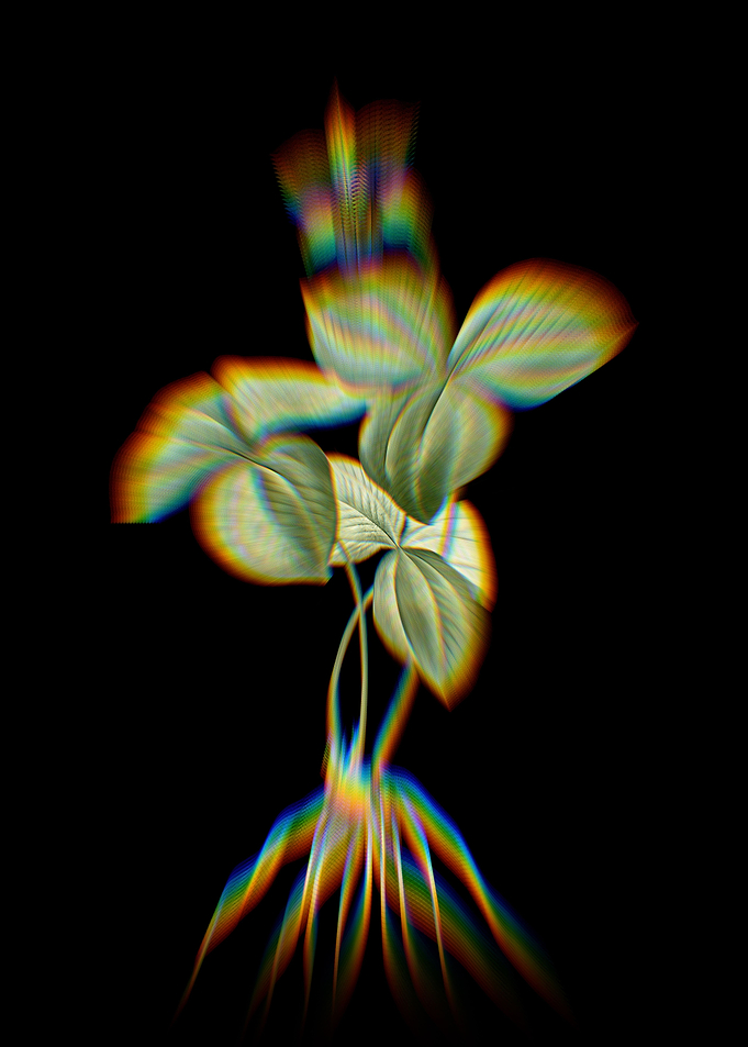 Prism Rhomboideum