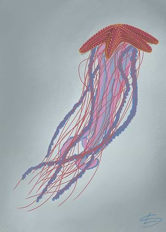 Jellystar