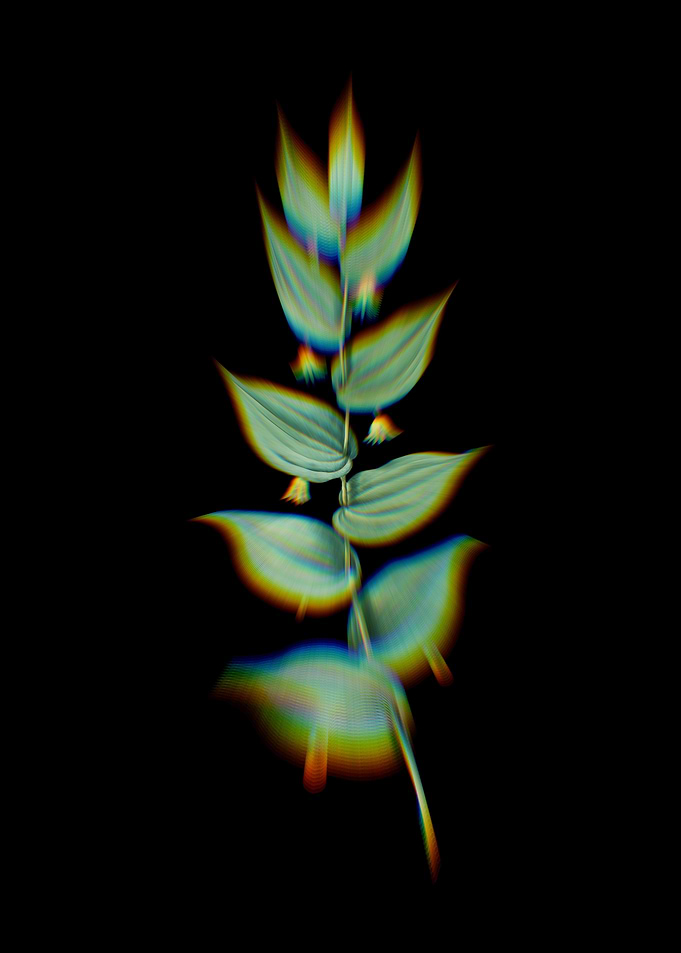 Prism Twistedstalk