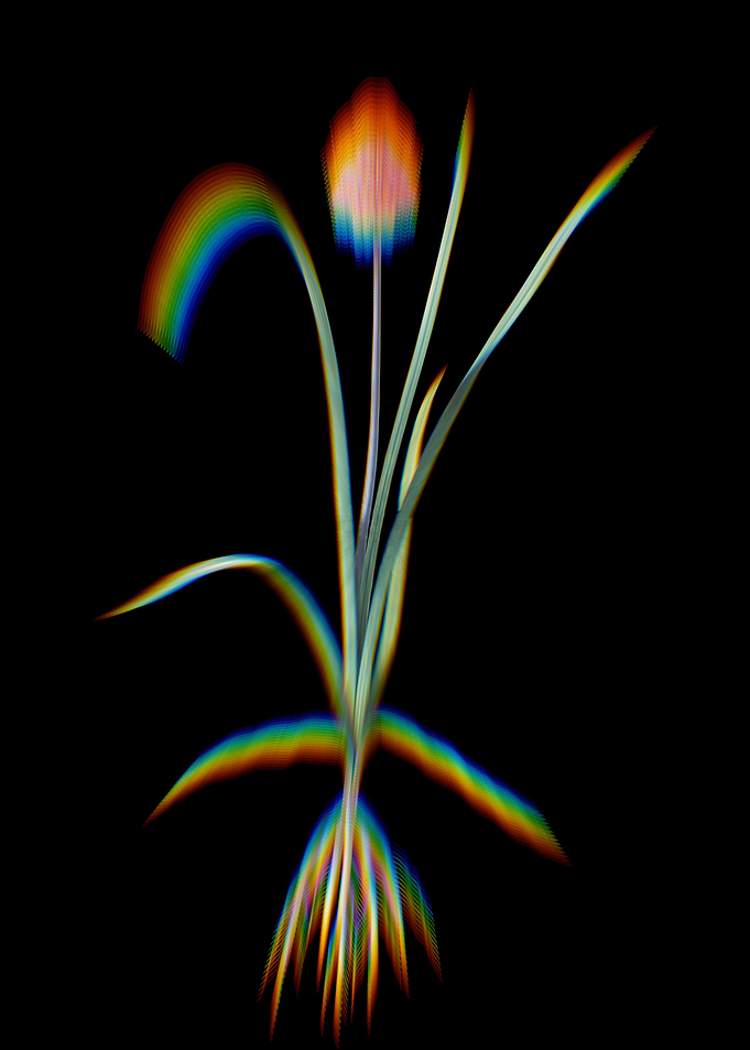 Prism Veltheimia Abyss
