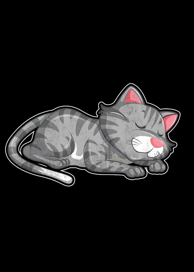 Cute Cat Sleeping Kitten