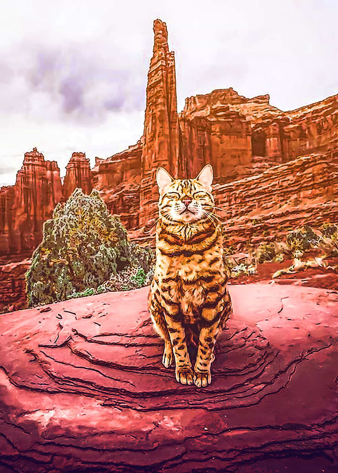 Animal 121