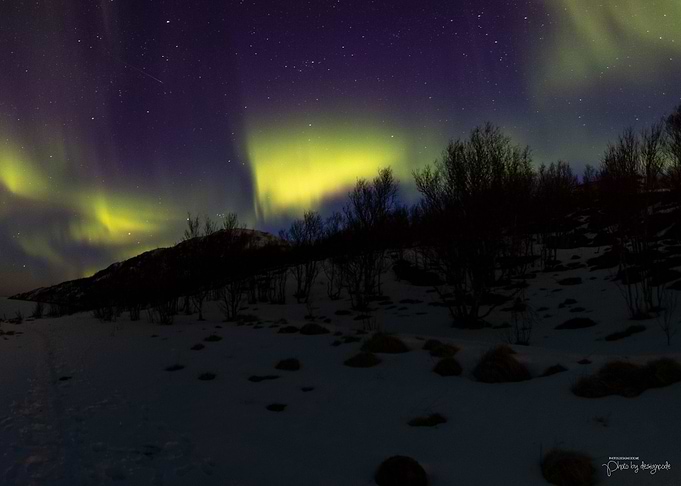 Northern Lights in Norway