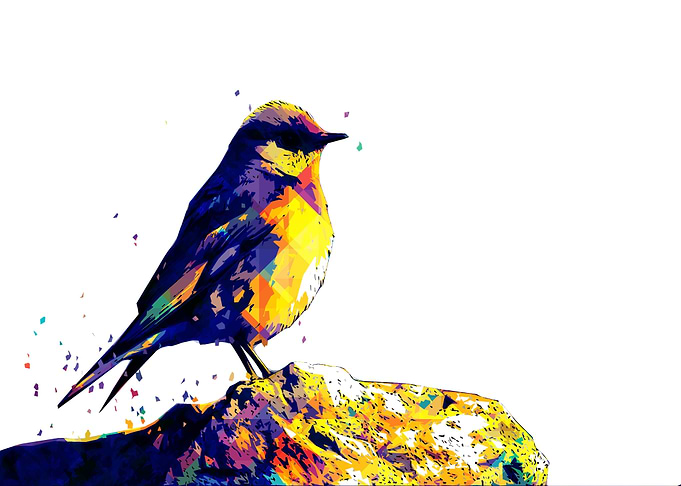 BIRD
