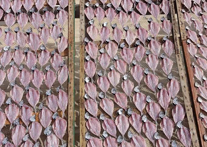Traditional dried fish 02
