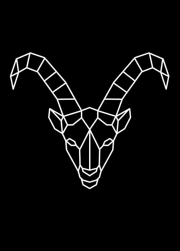 Capricorn Polygon