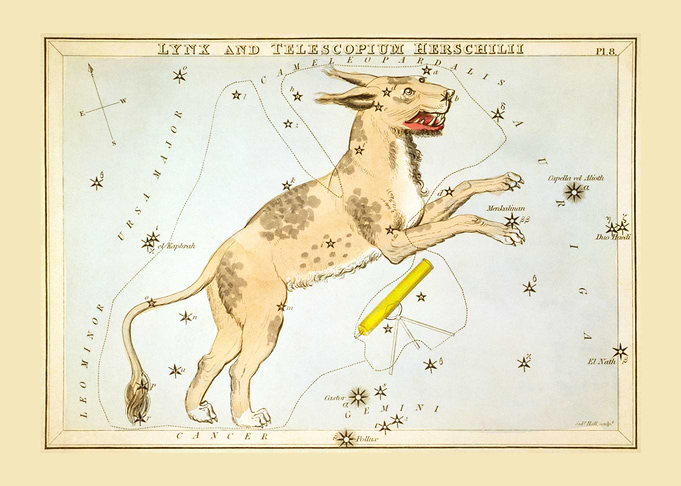 Lynx