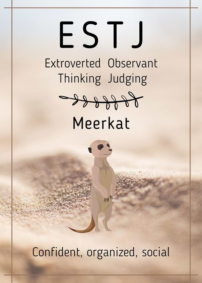 ESTJ Personality
