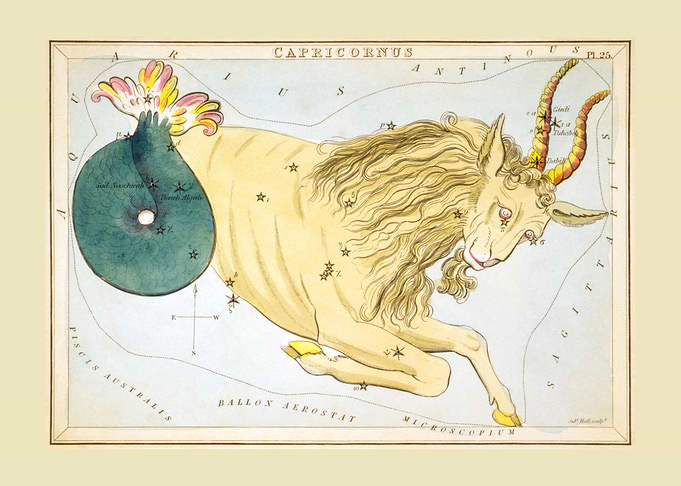 Capricornius