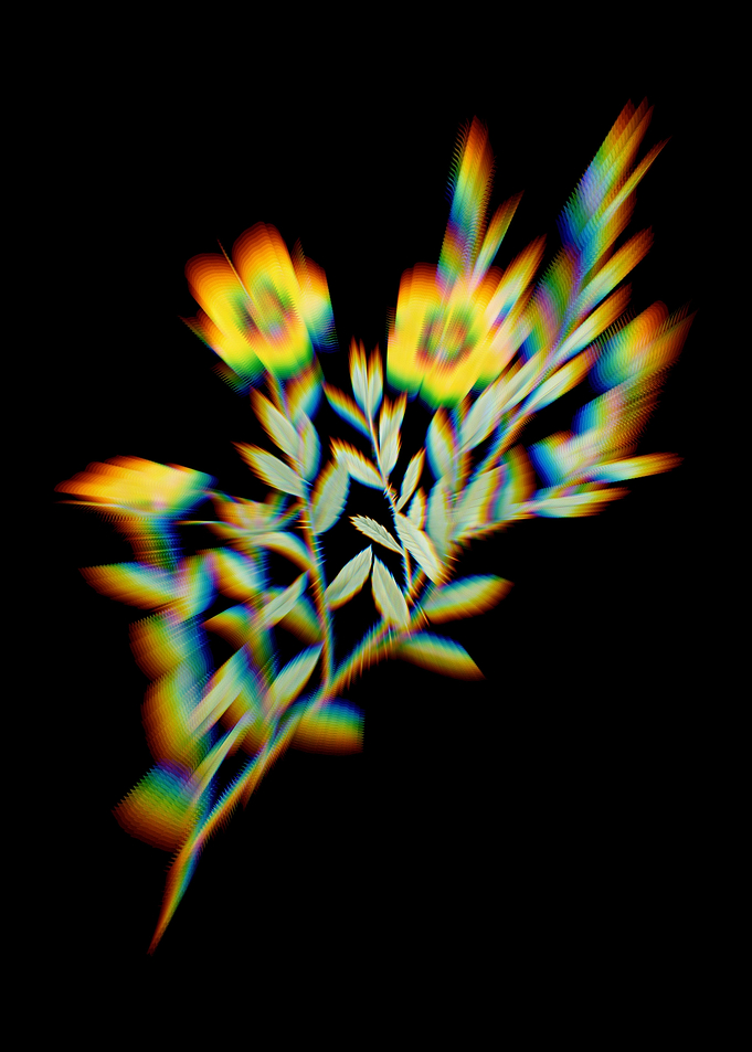 Prism Rosa Persica