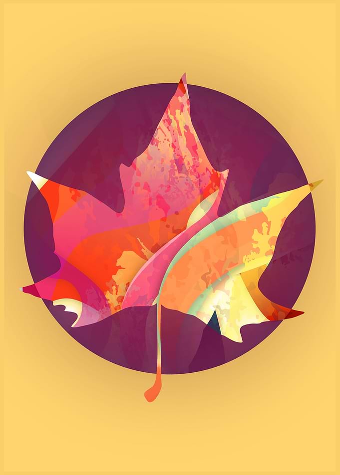 Inside a Leaf 7