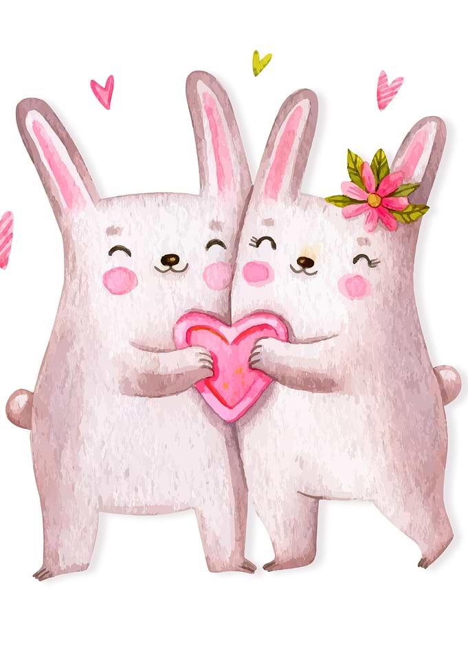animal couple