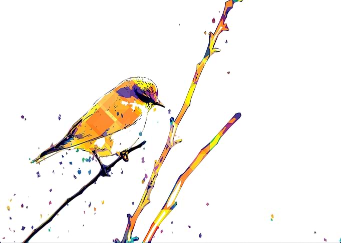 BIRD