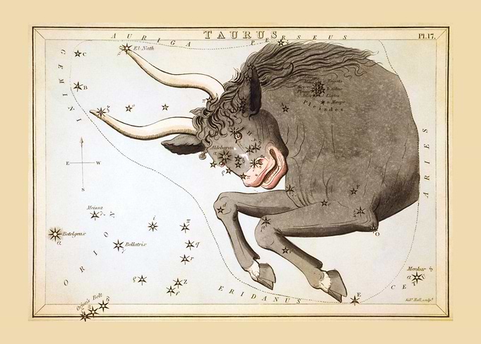 Taurus
