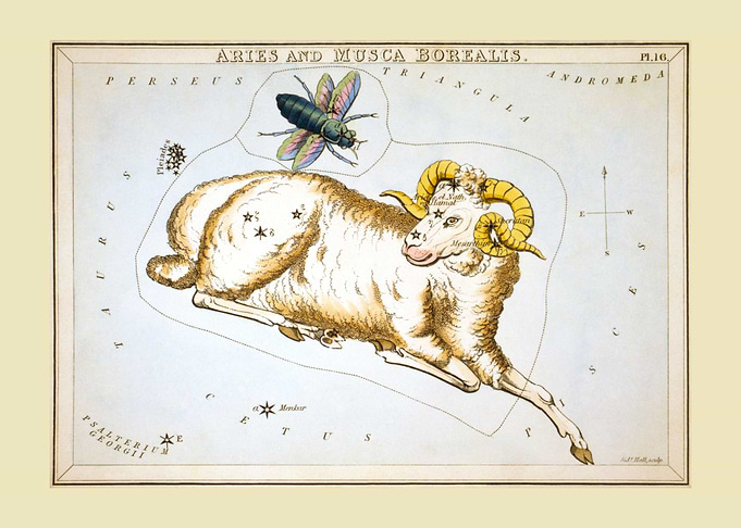 Aries and Musca Borealis