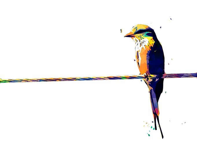 BIRD