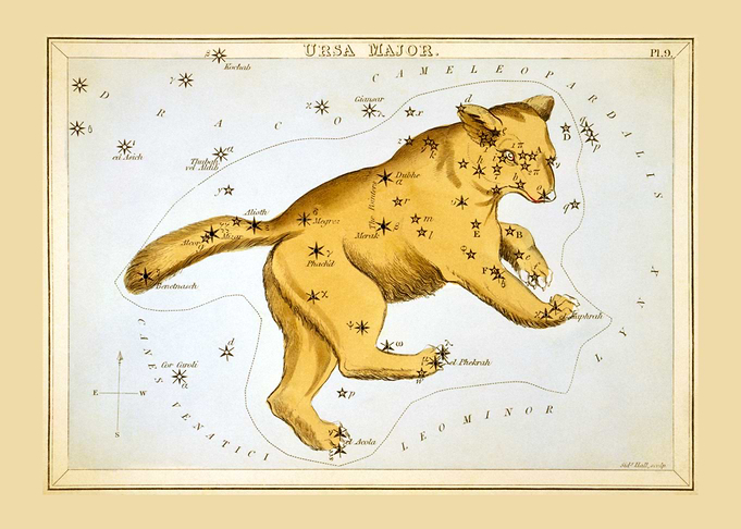 The Great Bear